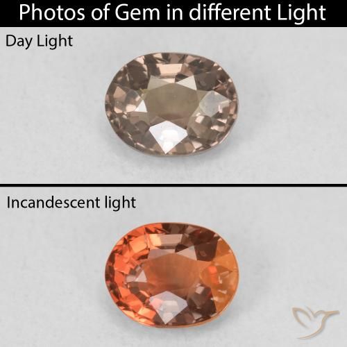 0.79ct طبيعي بنى فاتح متوسط عقيق متغير اللون, بيضوي, VVS-VS