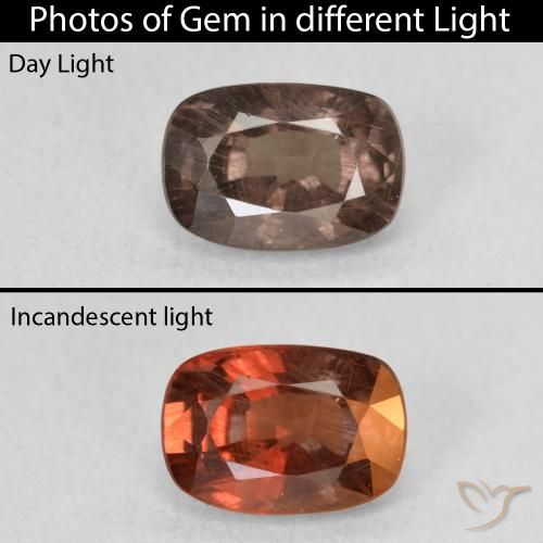 1.58ct طبيعي بنى فاتح متوسط عقيق متغير اللون, وسادة, قليلا جدا