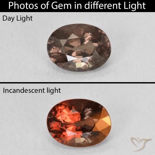 1.25ct طبيعي بنى فاتح متوسط عقيق متغير اللون, بيضوي, قليلا جدا