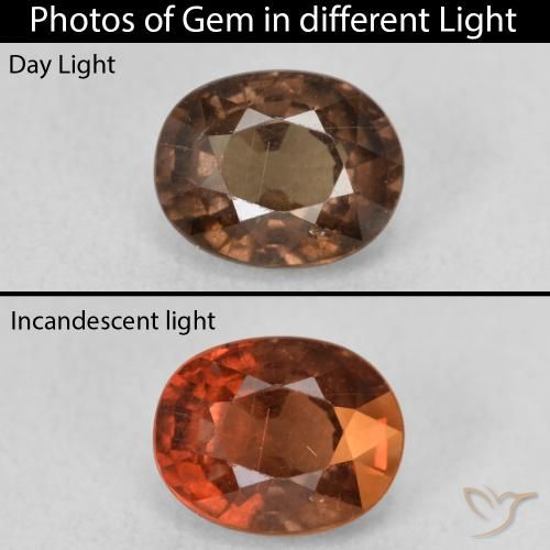 1.89ct طبيعي بني غامق عقيق متغير اللون, بيضوي, قليلا جدا