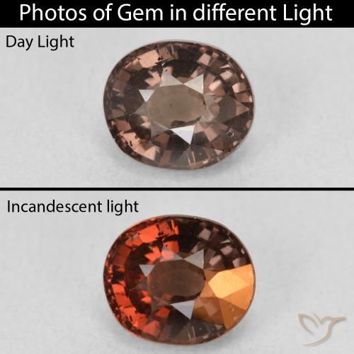 1.60ct طبيعي بنى فاتح متوسط عقيق متغير اللون, بيضوي, قليلا جدا