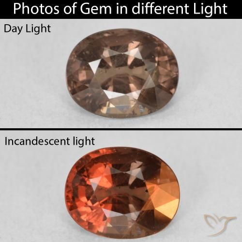 1.29ct طبيعي بنى فاتح متوسط عقيق متغير اللون, بيضوي, قليلا جدا