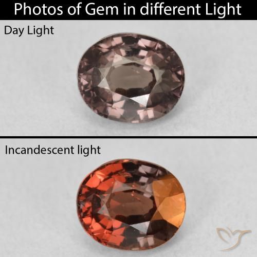 1.36ct طبيعي بني غامق عقيق متغير اللون, بيضوي, قليلا جدا