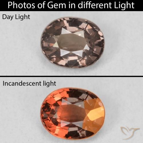 0.97ct طبيعي بني غامق عقيق متغير اللون, بيضوي, قليلا جدا