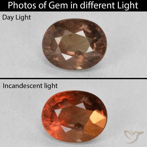 1.57ct طبيعي بني غامق عقيق متغير اللون, بيضوي, قليلا جدا