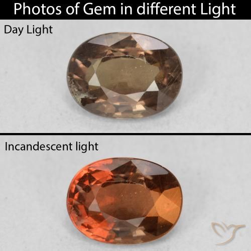 1.16ct طبيعي بني غامق عقيق متغير اللون, بيضوي, قليلا جدا