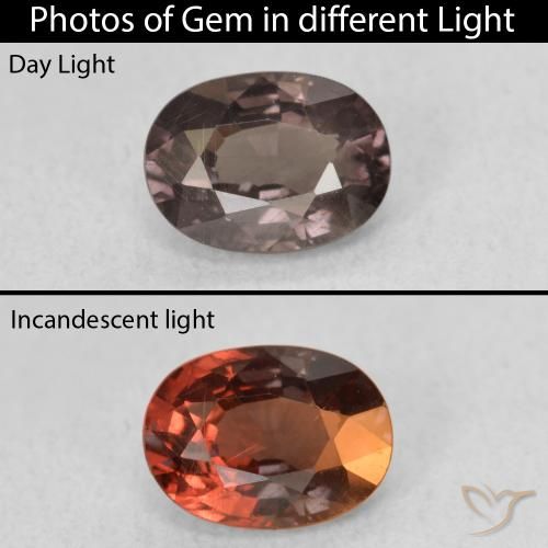 1.06ct طبيعي بني غامق عقيق متغير اللون, بيضوي, قليلا جدا
