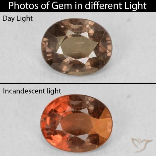 1.01ct طبيعي بني غامق عقيق متغير اللون, بيضوي, قليلا جدا