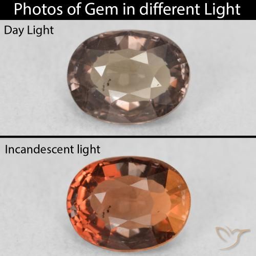 0.94ct طبيعي بني غامق عقيق متغير اللون, بيضوي, قليلا جدا