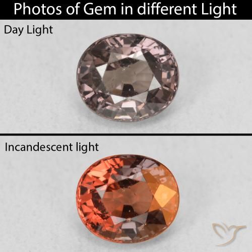 1.00ct طبيعي بني غامق عقيق متغير اللون, بيضوي, قليلا جدا