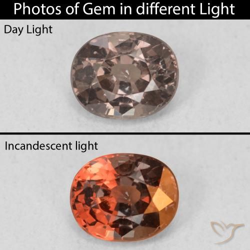 0.97ct طبيعي بني غامق عقيق متغير اللون, بيضوي, قليلا جدا