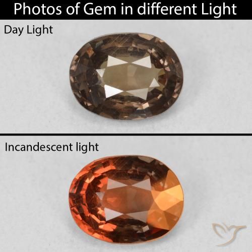 1.26ct طبيعي بني غامق عقيق متغير اللون, بيضوي, قليلا جدا