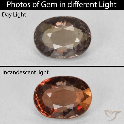 1.17ct طبيعي بنى دافئ عقيق متغير اللون, بيضوي, قليلا جدا