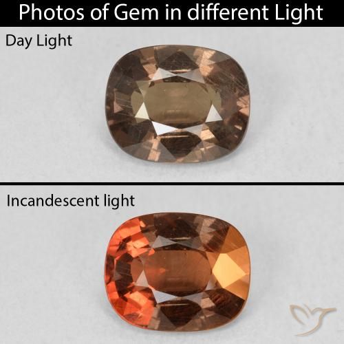1.62ct طبيعي بنى خبز الزنجبيل عقيق متغير اللون, وسادة, قليلا جدا