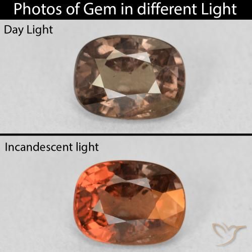 1.21ct طبيعي بنى دافئ عقيق متغير اللون, وسادة, قليلا جدا