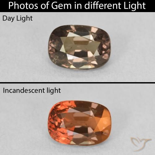 1.52ct طبيعي بنى فاتح متوسط عقيق متغير اللون, وسادة, قليلا جدا
