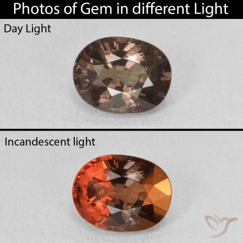 1.57ct طبيعي بني غامق عقيق متغير اللون, بيضوي, قليلا جدا