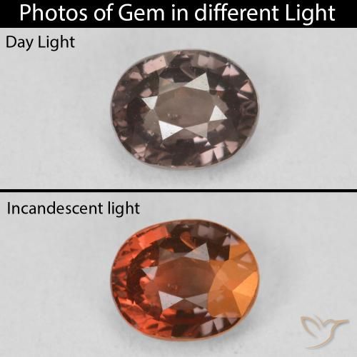 1.17ct طبيعي بنى فاتح متوسط عقيق متغير اللون, بيضوي, قليلا جدا
