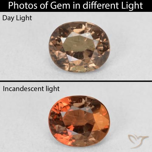 0.94ct طبيعي بني غامق عقيق متغير اللون, بيضوي, قليلا جدا