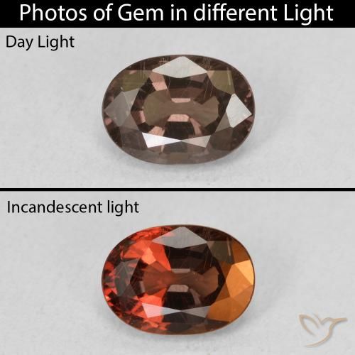 1.34ct طبيعي بني غامق عقيق متغير اللون, بيضوي, قليلا جدا
