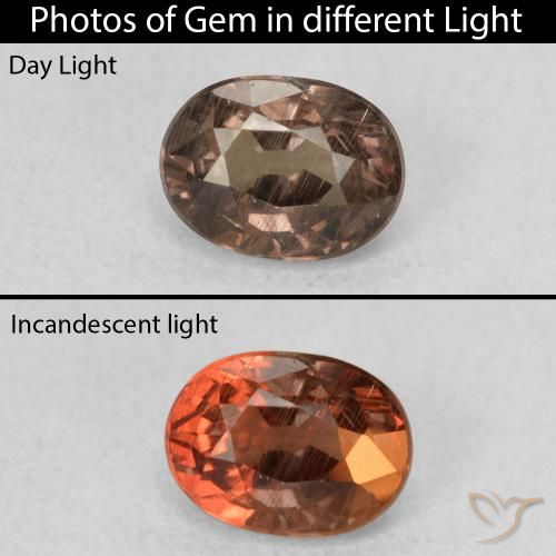 0.96ct طبيعي بني غامق عقيق متغير اللون, بيضوي, قليلا جدا