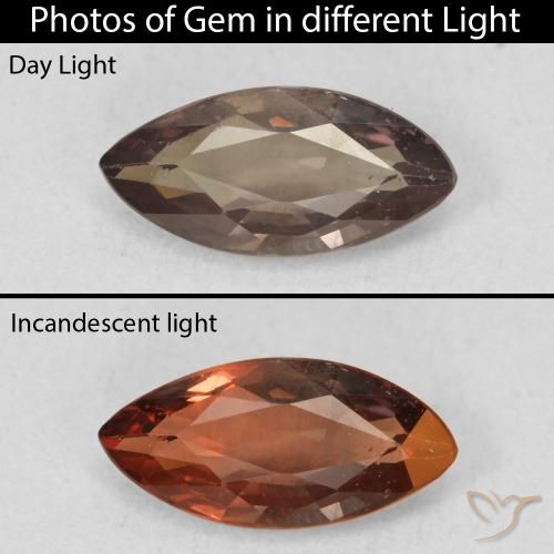 1.03ct طبيعي بني غامق عقيق متغير اللون, ماركيز, VVS-VS