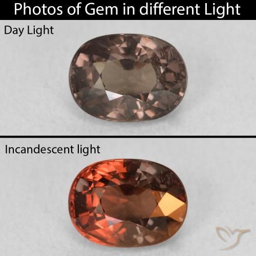 1.47ct طبيعي بني غامق عقيق متغير اللون, بيضوي, VVS-VS