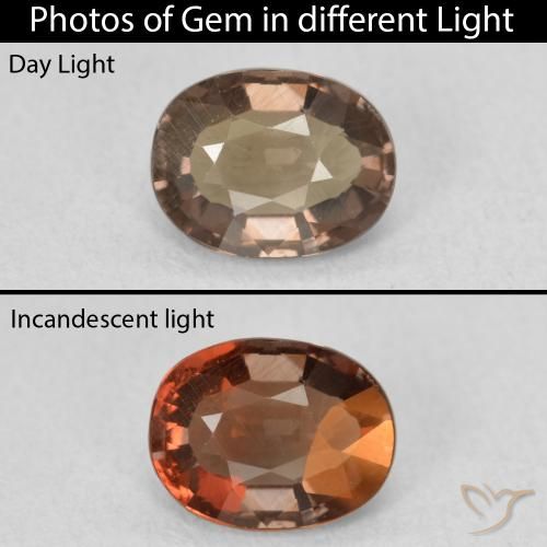 1.32ct طبيعي بني غامق عقيق متغير اللون, بيضوي, VVS-VS