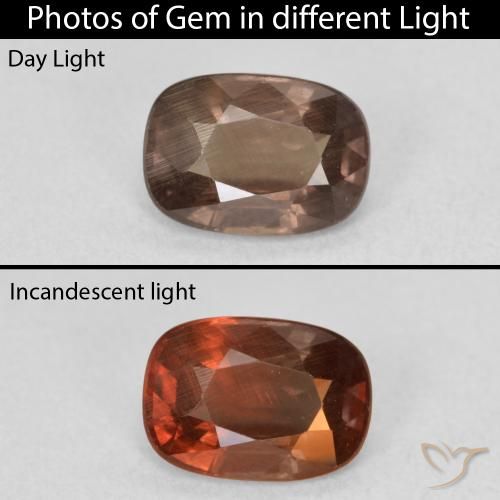 1.50ct طبيعي بني غامق عقيق متغير اللون, وسادة, قليلا جدا