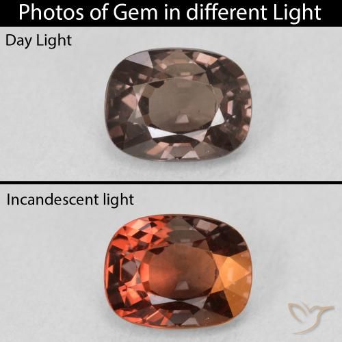 1.47ct طبيعي بني غامق عقيق متغير اللون, وسادة, قليلا جدا