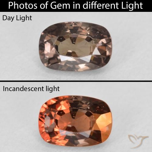 1.39ct طبيعي بني غامق عقيق متغير اللون, وسادة, قليلا جدا