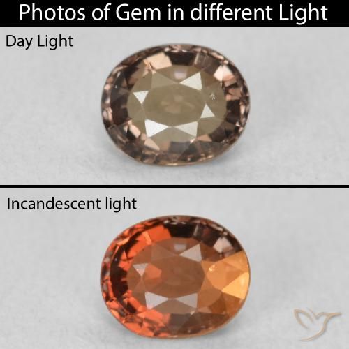 0.80ct طبيعي بني غامق عقيق متغير اللون, بيضوي, VVS
