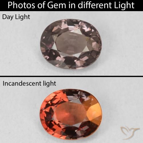 1.03ct طبيعي بنى الجوزية عقيق متغير اللون, بيضوي, VVS