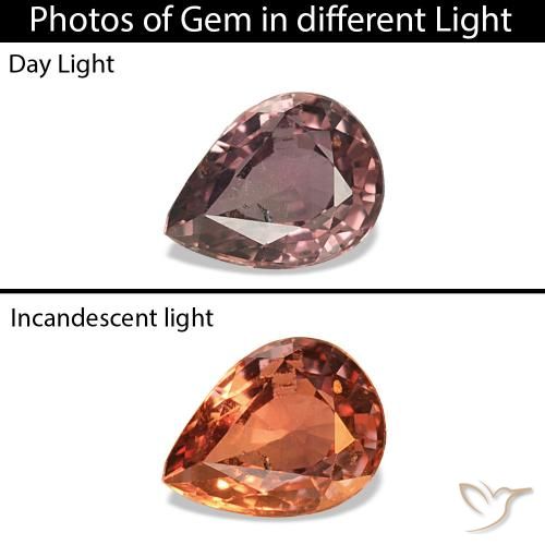 زفير متغير اللون بنى فاتح متوسط طبيعي، شكل الكمثرى، 0.27 قيراط، قليلا جدا