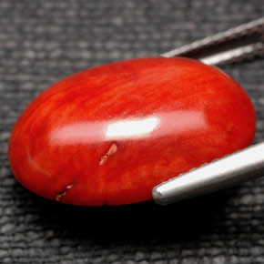 مرجان برتقالي طبيعي، قصة بيضاوى، 9.84 قيراط، غير شفاف