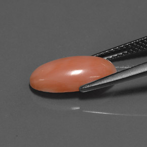 مرجان السلمون الأبيض طبيعي، قصة بيضاوى، 2.52 قيراط، غير شفاف