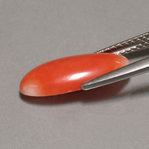 مرجان السلمون الأبيض طبيعي، قصة بيضاوى، 2.62 قيراط، غير شفاف