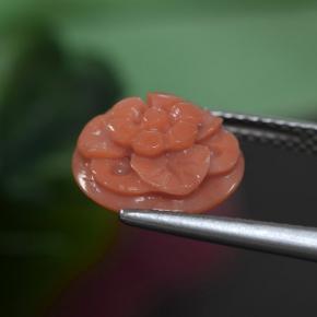 مرجان وردى السلمون غامق طبيعي، قص وردة، 3.63 قيراط، غير شفاف