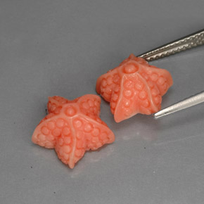 أحجار مرجان سالمون طبيعية، شكل خيالي، غير شفاف، وزنها  قيراط