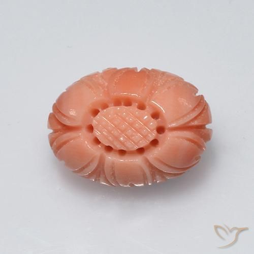 مرجان Salmon Pink   طبيعي، قطع زهرة، 3.81 قيراط، غير شفاف