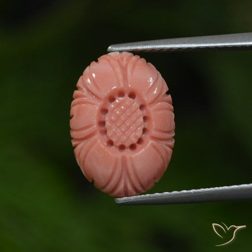 4.07ct طبيعي وردى توت العليق مرجان, قص وردة, غير شفاف