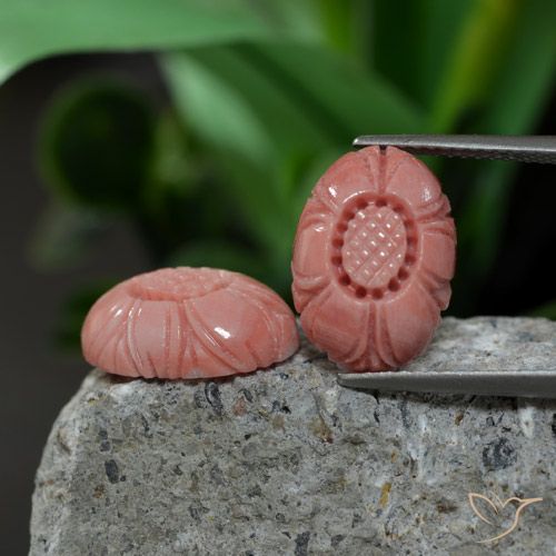 أحجار مرجان وردى متوسط طبيعية، قص وردة، غير شفاف، وزنها 9.38 قيراط