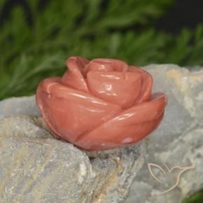 مرجان Salmon Pink   طبيعي، فانسى، 14.58 قيراط، غير شفاف