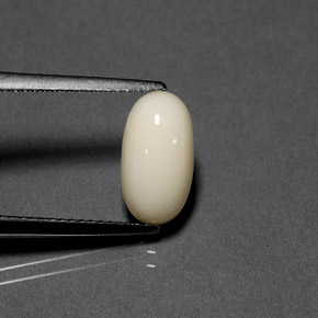 مرجان أبيض طبيعي، قصة بيضاوى، 2.23 قيراط، غير شفاف