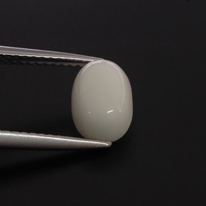 مرجان أبيض طبيعي، قصة بيضاوى، 2.00 قيراط، غير شفاف