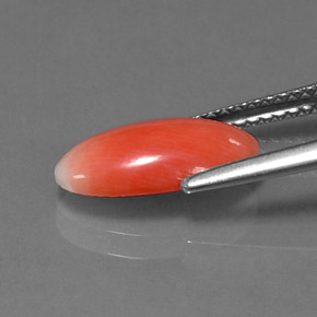 مرجان سالمون طبيعي، قصة بيضاوى، 1.69 قيراط، غير شفاف