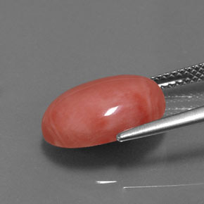 مرجان سالمون طبيعي، قصة بيضاوى، 4.53 قيراط، غير شفاف