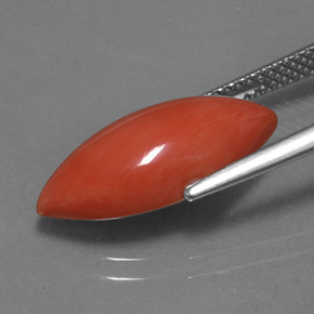 مرجان السلمون الأبيض طبيعي، ماركيز، 4.46 قيراط، غير شفاف