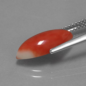 مرجان السلمون الأبيض طبيعي، ماركيز، 2.34 قيراط، غير شفاف