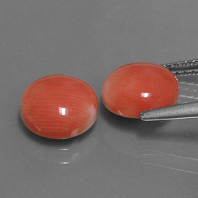 أحجار مرجان السلمون الأبيض طبيعية، قصة دائرى، غير شفاف، وزنها  قيراط